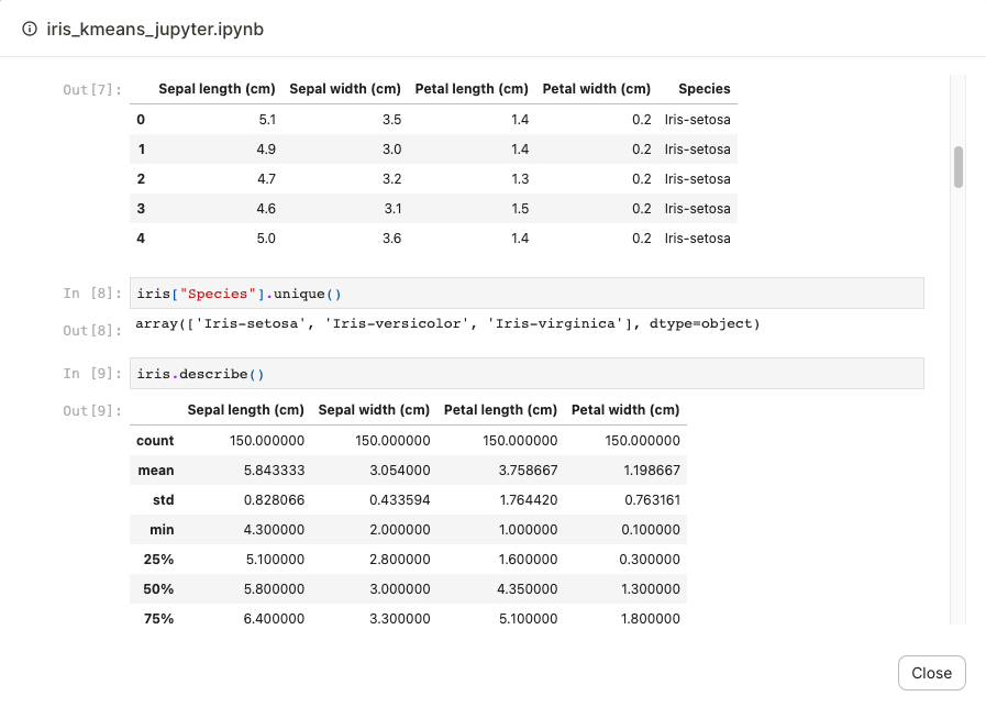 Executed notebook display in the Dagster UI